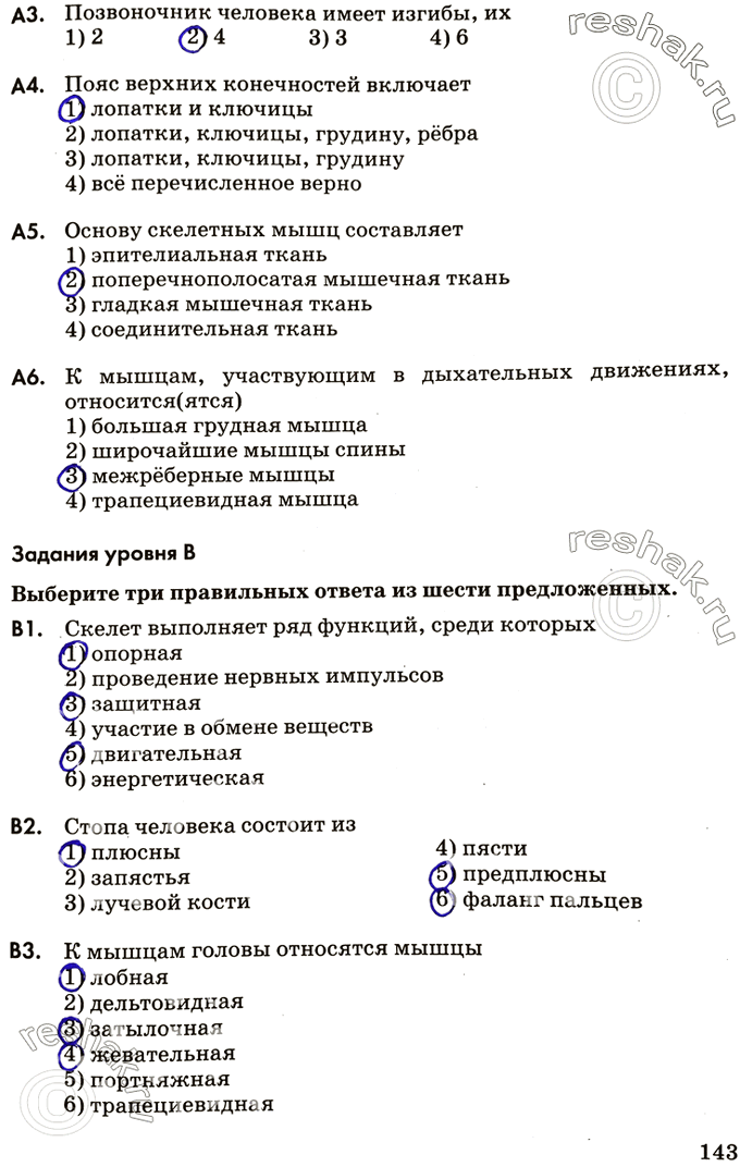 Изображение АЗ. Позвоночник человека имеет изгибы, их1) 2 2)4 3)3 4)6А4. Пояс верхних конечностей включает1) лопатки и ключицы2) лопатки, ключицы, грудину, рёбра3)...
