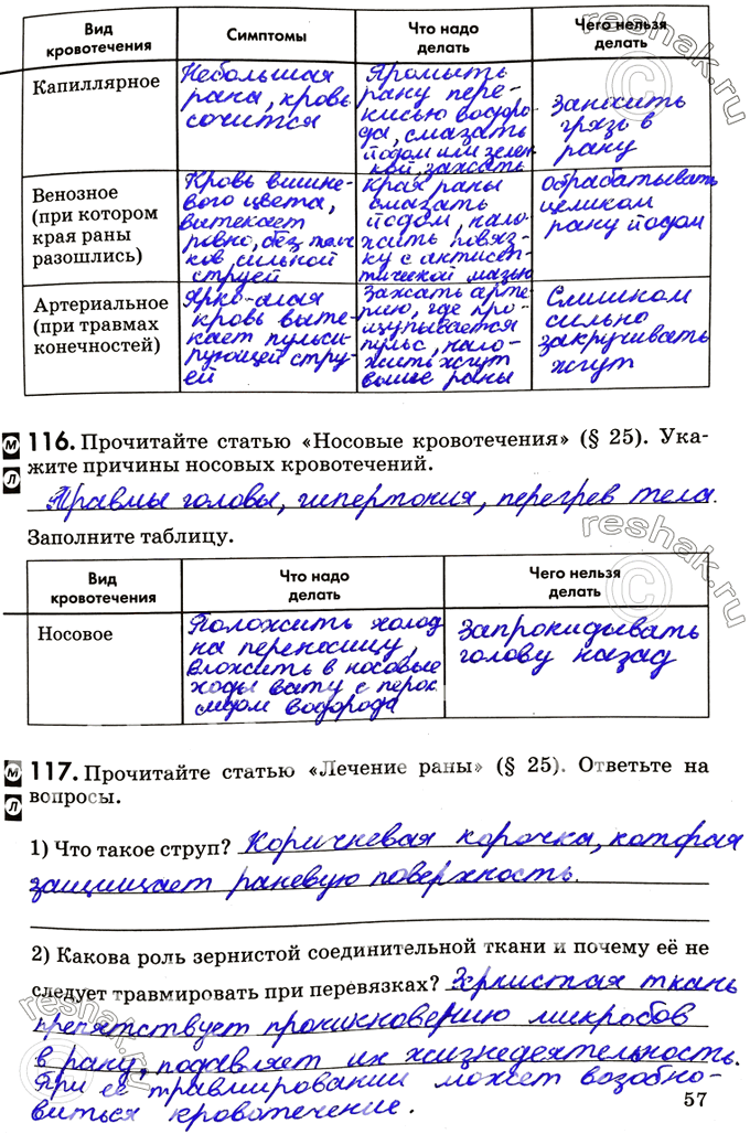 Изображение Вид кровотечения	Симптомы	Что надо делать	Что нельзя делатьКапиллярноеВенозное (при котором края раны разошлись)Артериальное (при травмах конечностей)116....
