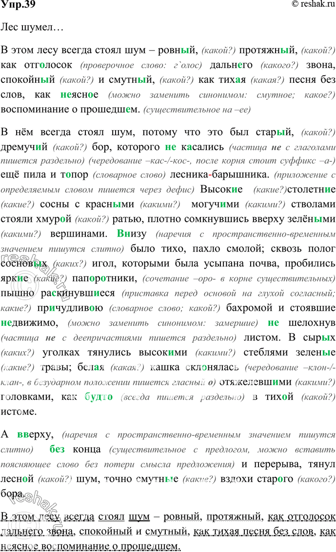 Изображение 39. Прочитайте отрывок из повести В. Короленко «Лес шумит». Выпишите словосочетания «прилагательное + существительное», укажите род, число, падеж, разряд...
