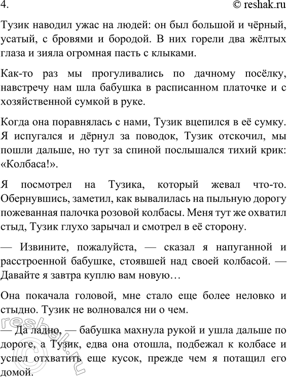 Дополнительное изображение