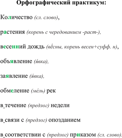 Изображение Орфографический практикум 40 ГДЗ Рыбченкова Александрова 7 класс